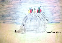 �����������