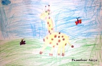 �����������